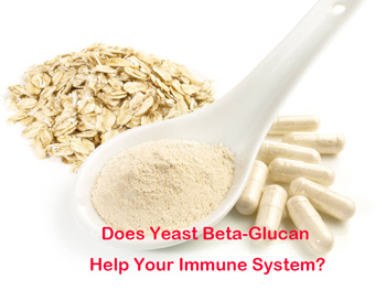 Does Yeast Beta-Glucan Help Your Immune System?